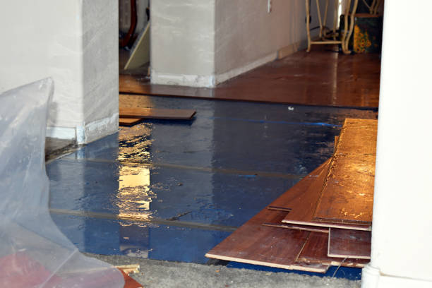 Professional Basement Flood Cleanup technician working in Hibernia, NJ